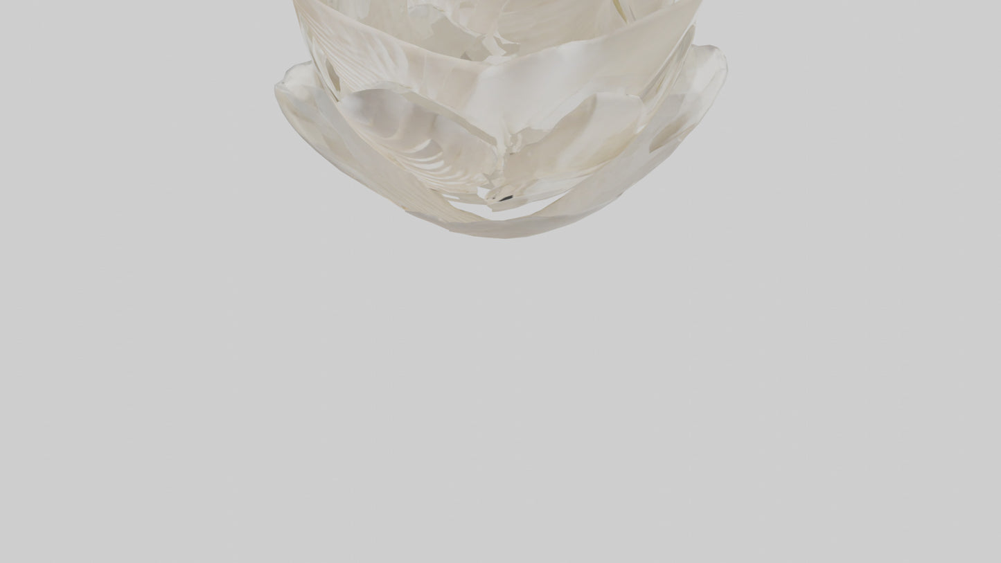 Organic Petal Spiral sculpture model 3D model