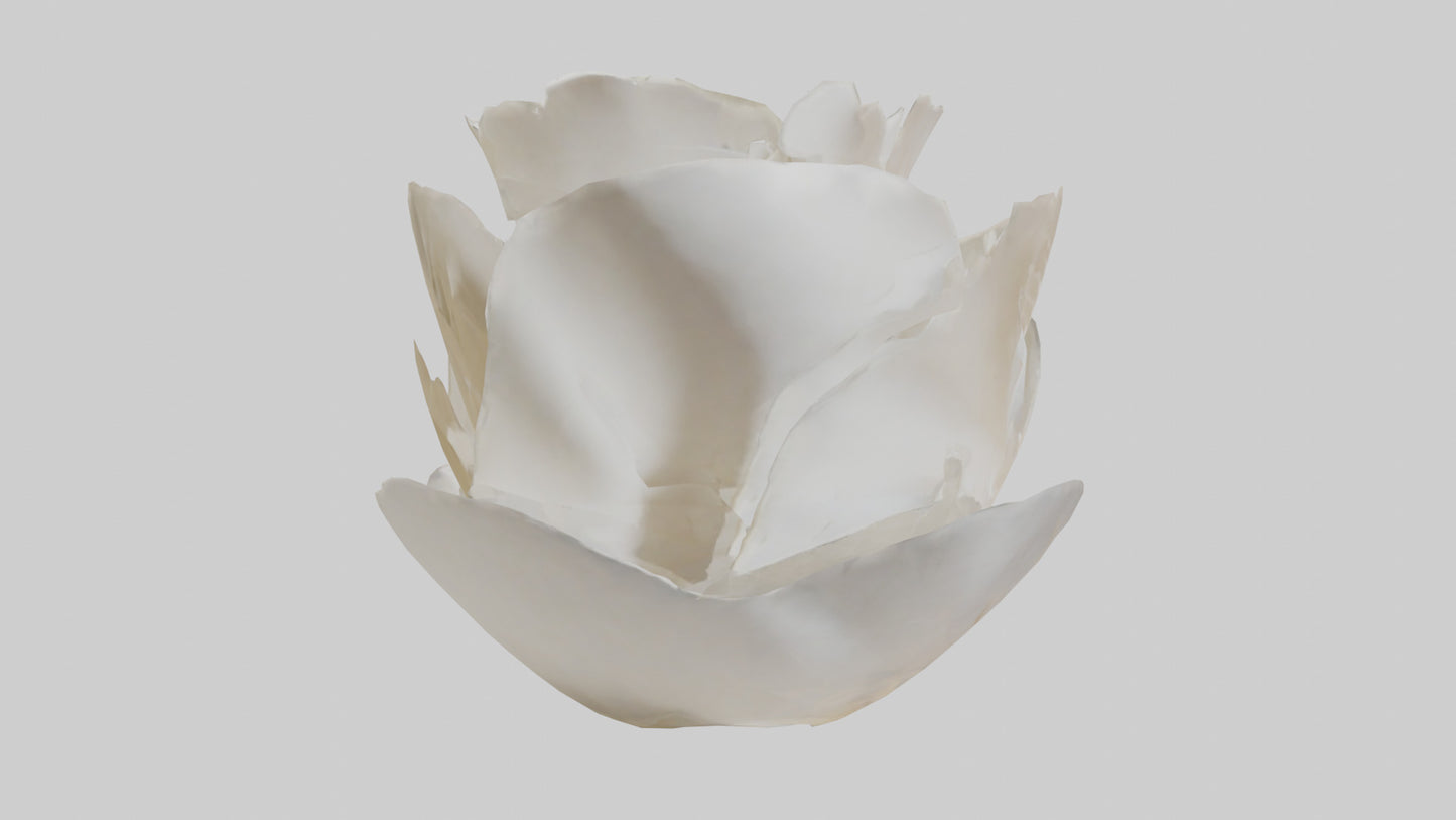 Organic Petal Spiral sculpture model 3D model
