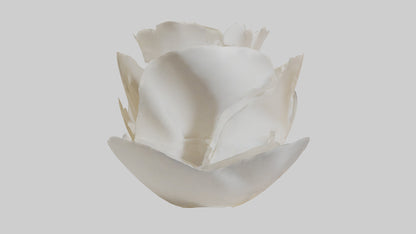 Organic Petal Spiral sculpture model 3D model