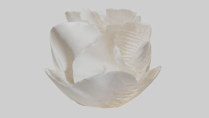 Organic Petal Spiral sculpture model 3D model