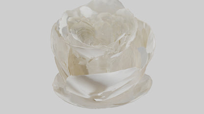 Organic Petal Spiral sculpture model 3D model