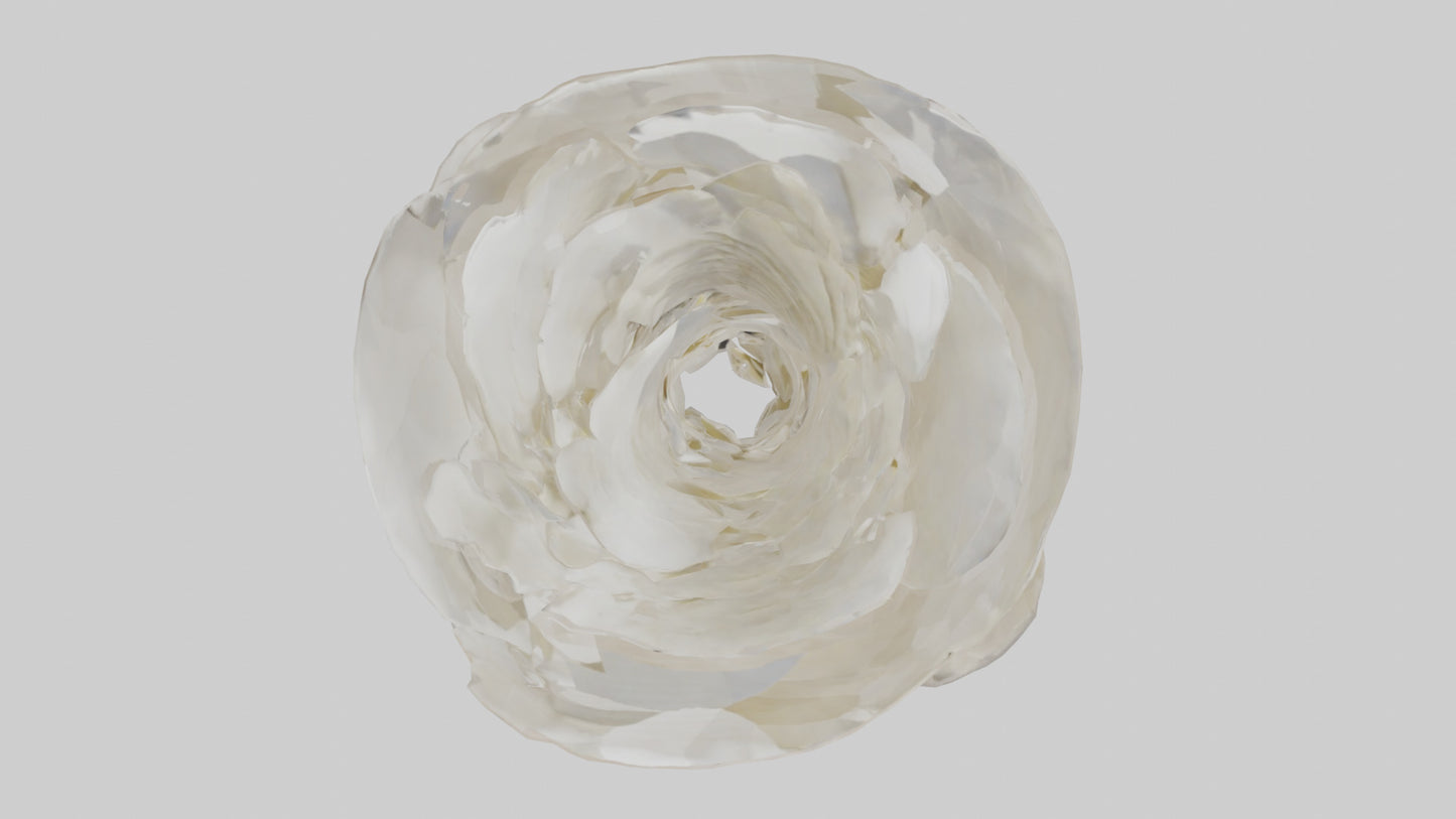 Organic Petal Spiral sculpture model 3D model