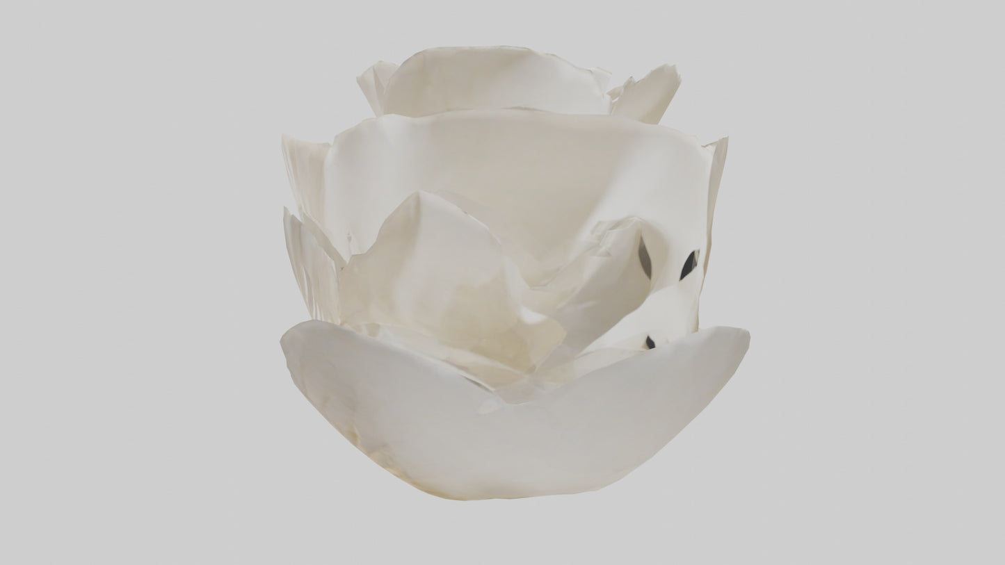 Organic Petal Spiral sculpture model 3D model