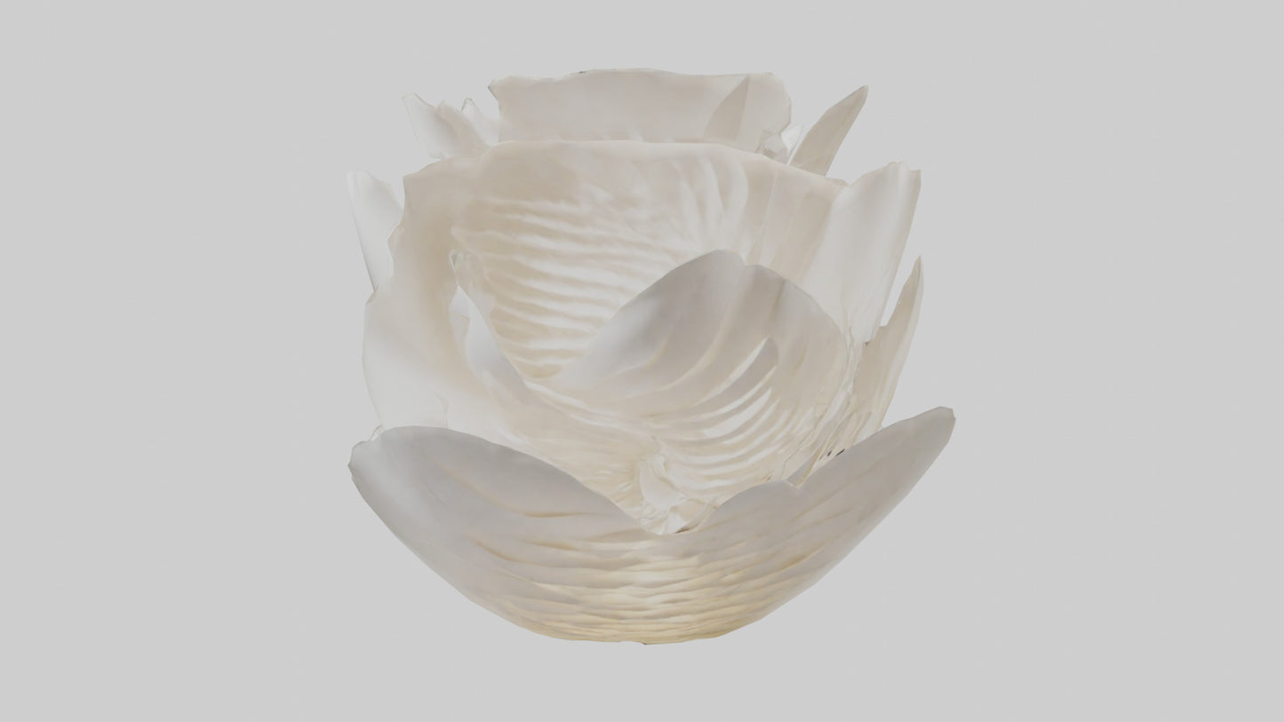 Organic Petal Spiral sculpture model 3D model