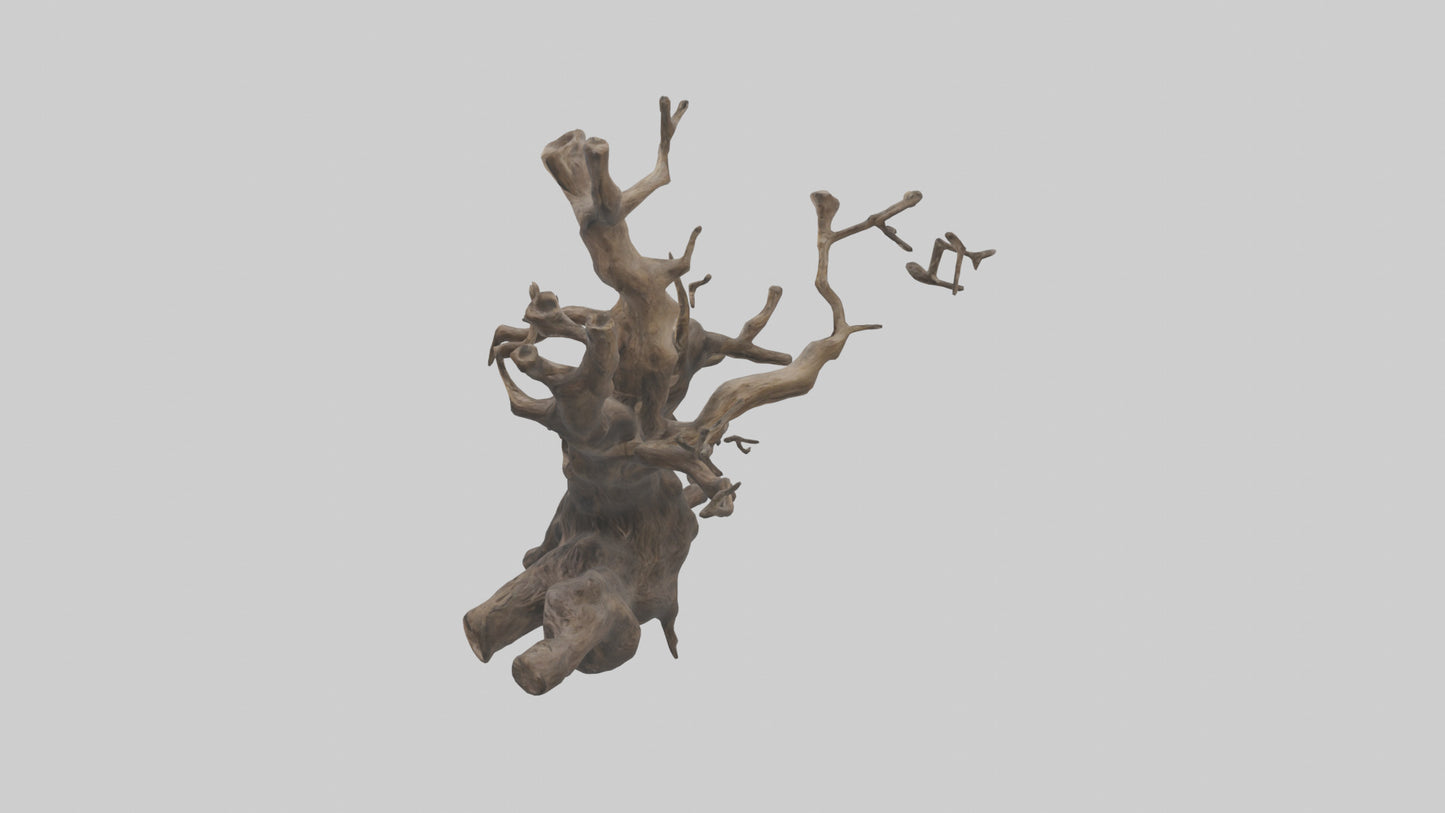 Organic Roots Sculpture statue model 3D model