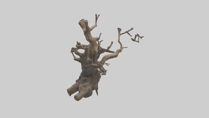 Organic Roots Sculpture statue model 3D model