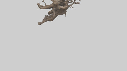 Organic Roots Sculpture statue model 3D model