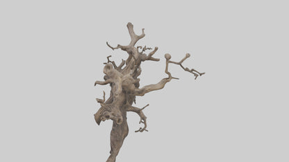 Organic Roots Sculpture statue model 3D model