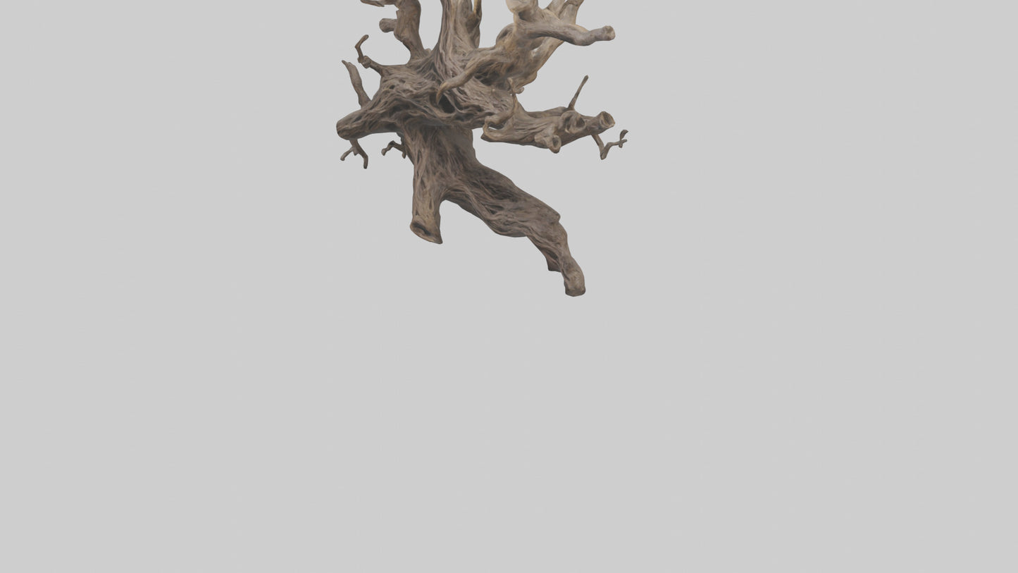 Organic Roots Sculpture statue model 3D model