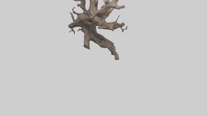 Organic Roots Sculpture statue model 3D model