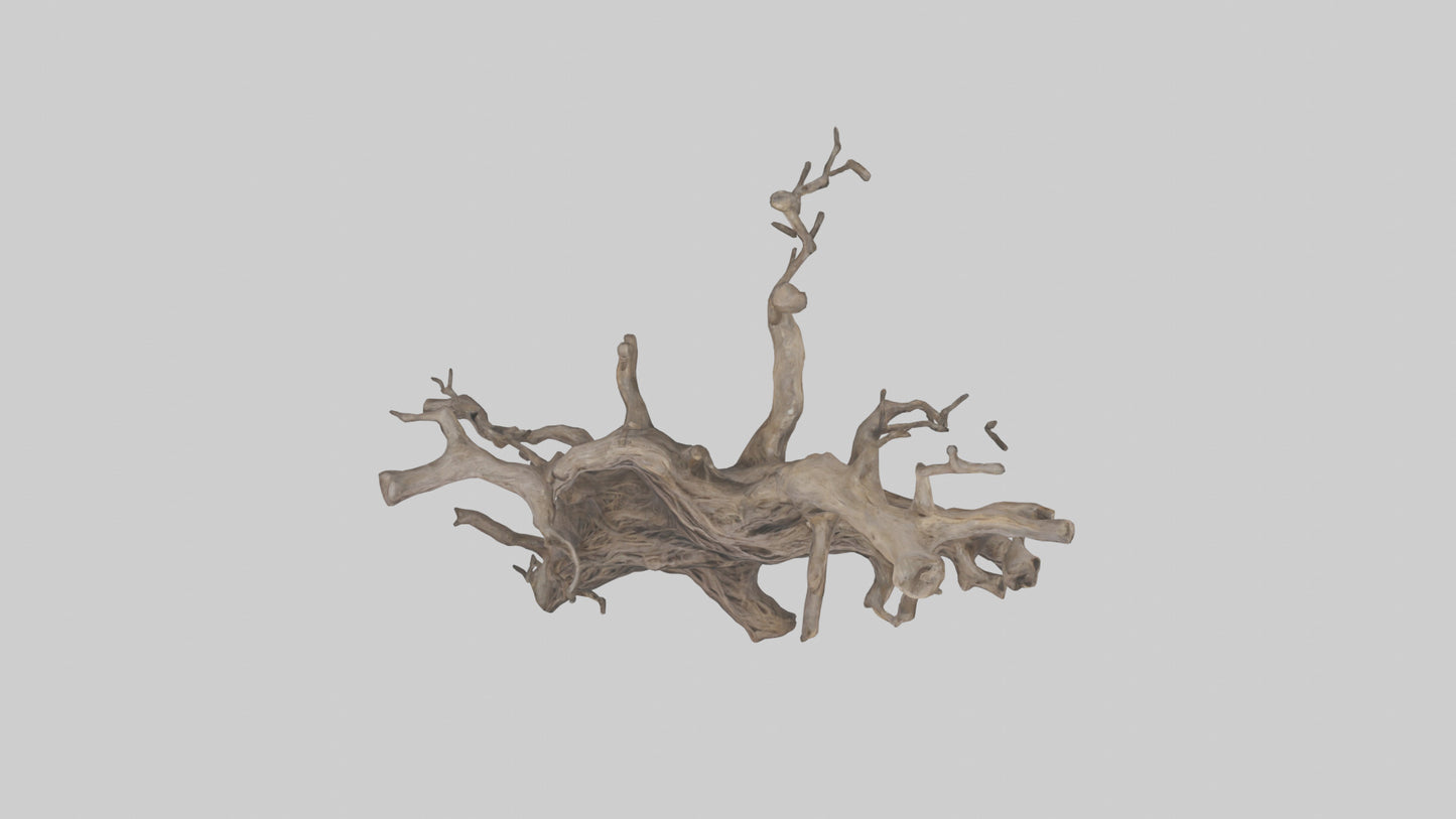 Organic Roots Sculpture statue model 3D model