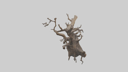 Organic Roots Sculpture statue model 3D model