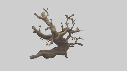 Organic Roots Sculpture statue model 3D model