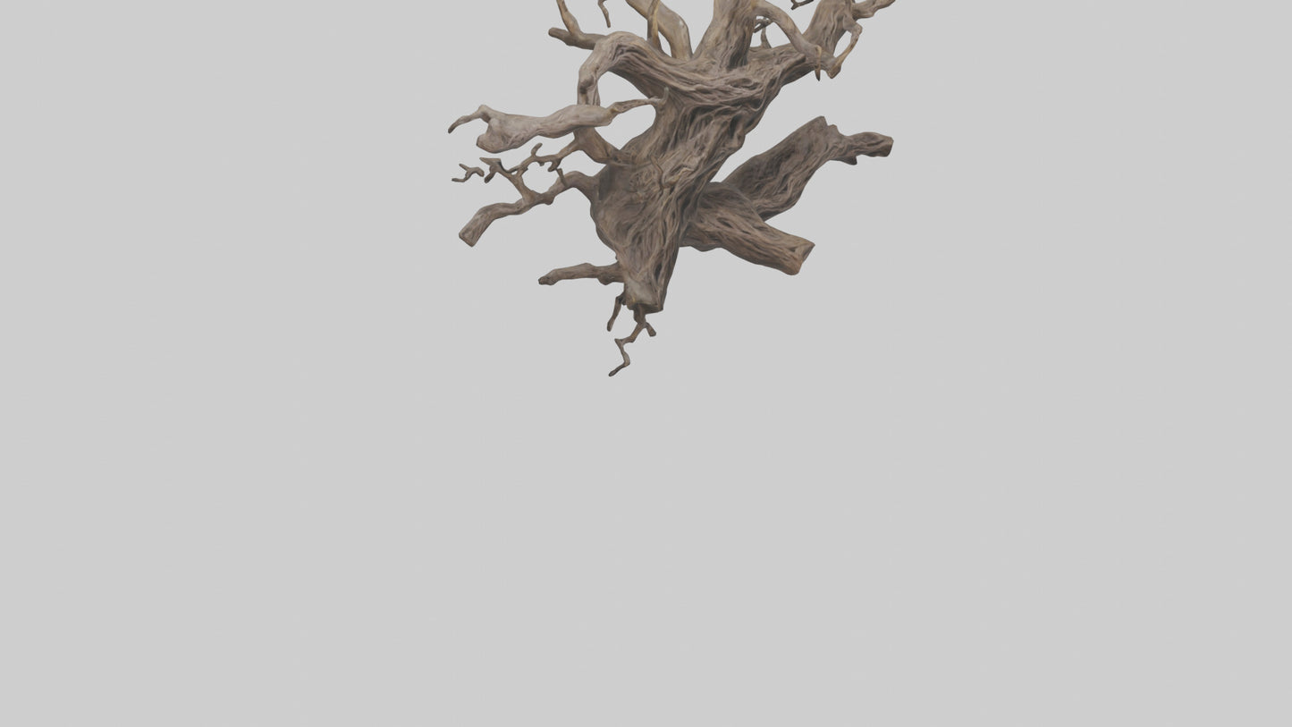 Organic Roots Sculpture statue model 3D model