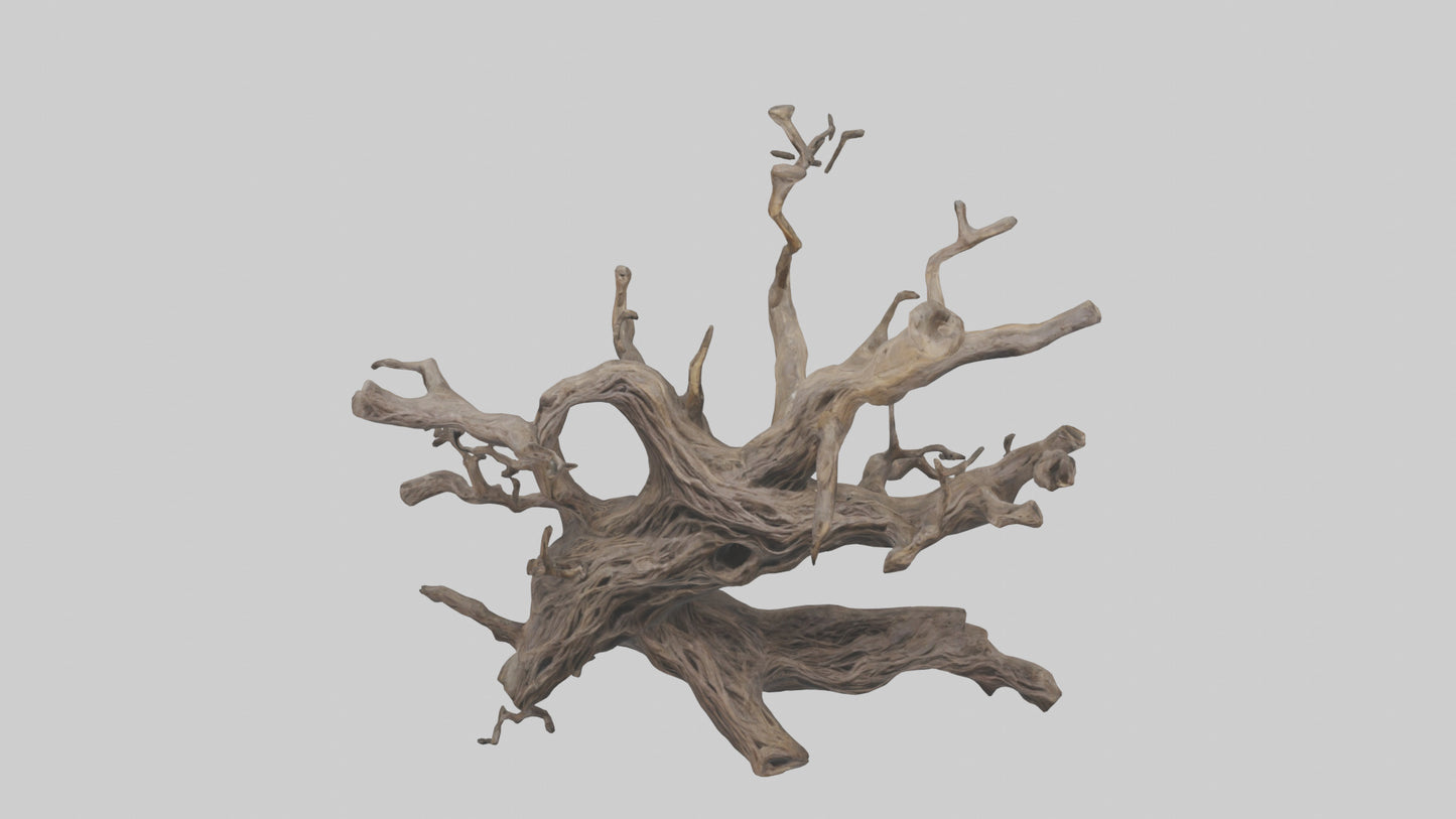 Organic Roots Sculpture statue model 3D model