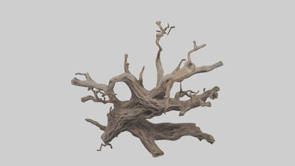 Organic Roots Sculpture statue model 3D model