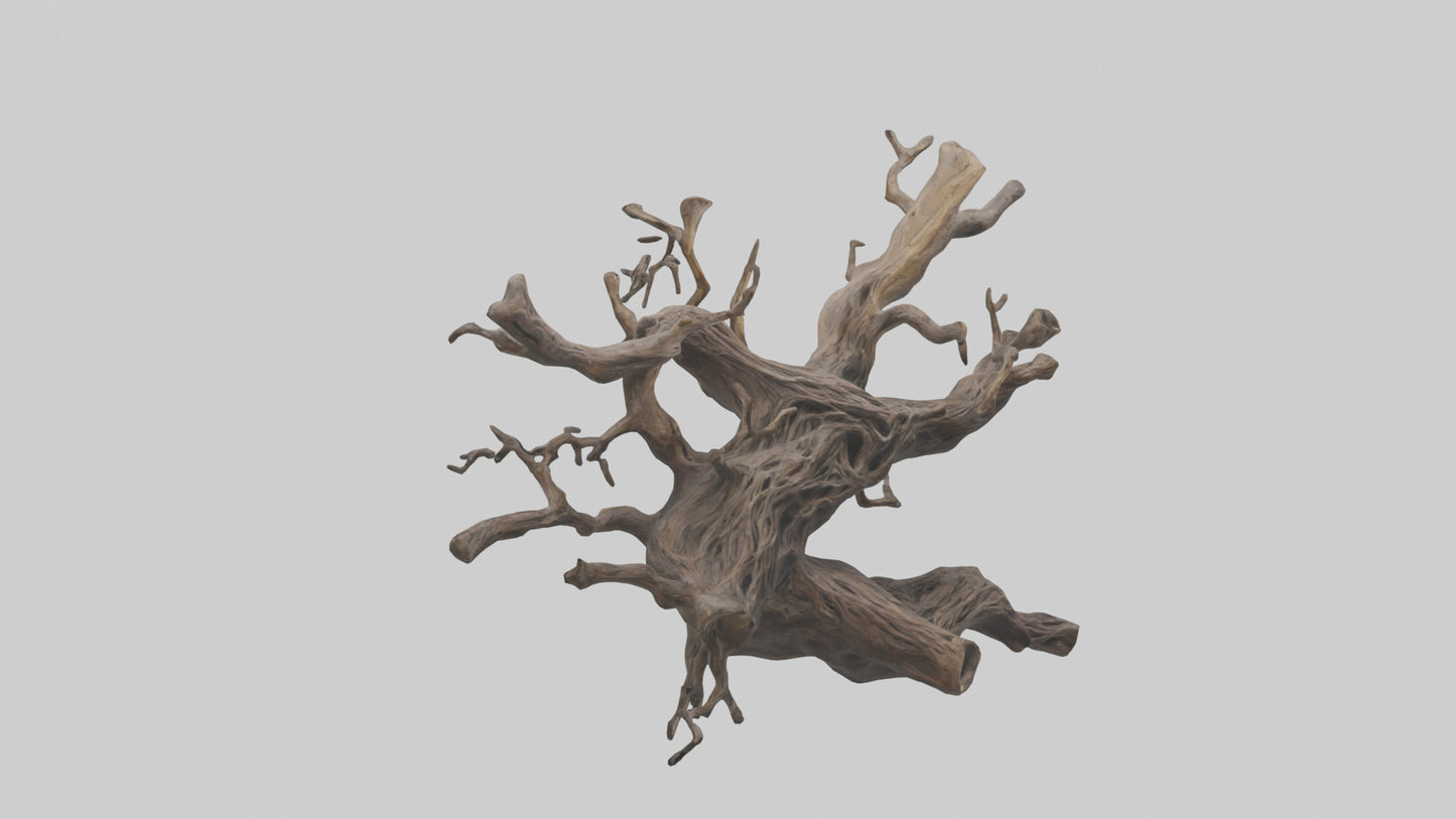 Organic Roots Sculpture statue model 3D model
