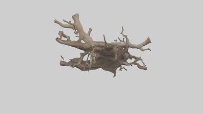 Organic Roots Sculpture statue model 3D model