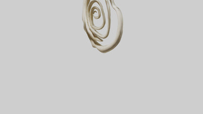 Organic Spiral Growth Sculpture model 3D model