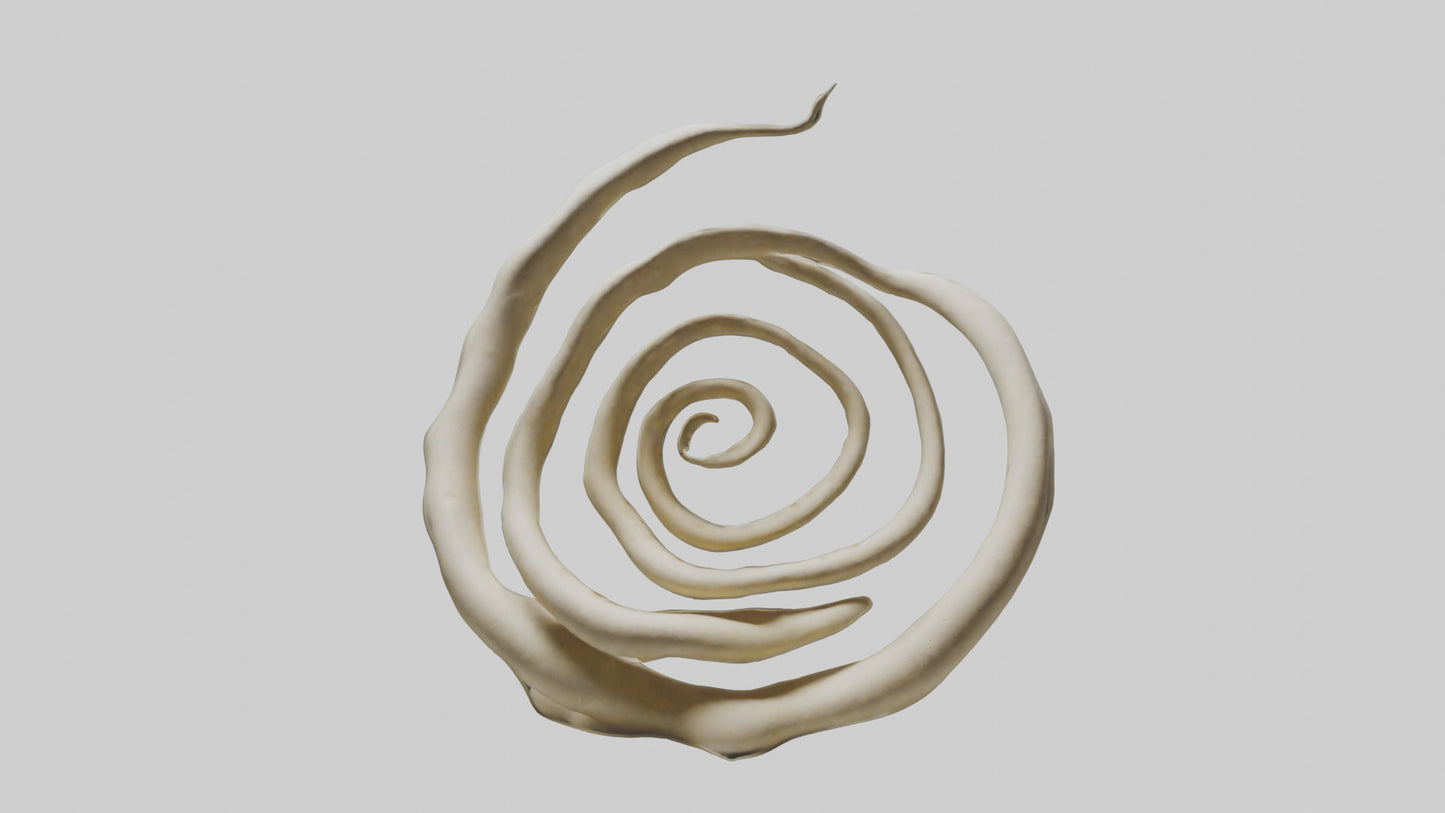Organic Spiral Growth Sculpture model 3D model