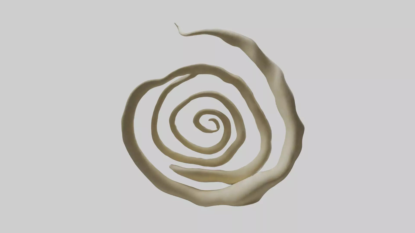 Organic Spiral Growth Sculpture model 3D model