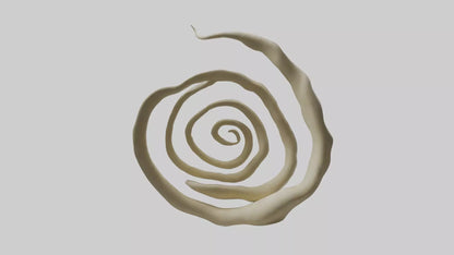 Organic Spiral Growth Sculpture model 3D model