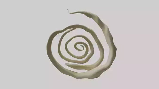 Organic Spiral Growth Sculpture model 3D model