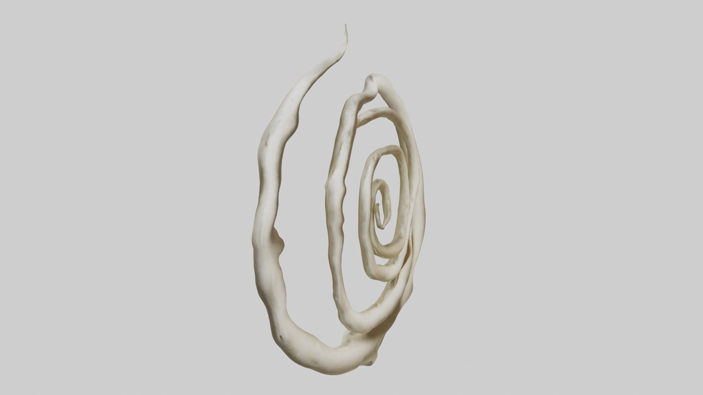 Organic Spiral Growth Sculpture model 3D model