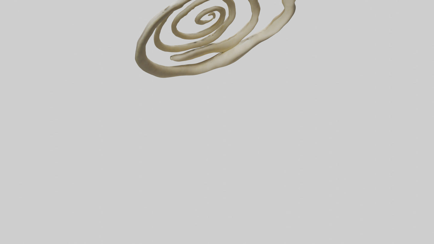 Organic Spiral Growth Sculpture model 3D model