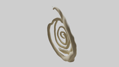 Organic Spiral Growth Sculpture model 3D model