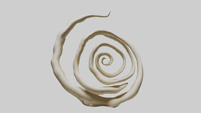 Organic Spiral Growth Sculpture model 3D model