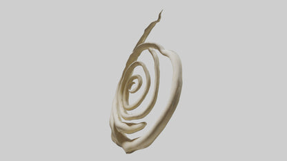 Organic Spiral Growth Sculpture model 3D model