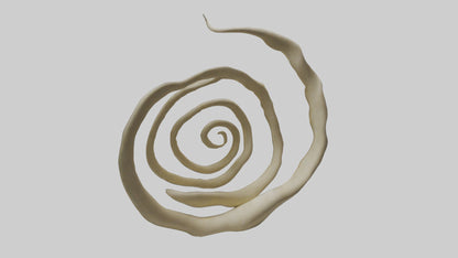 Organic Spiral Growth Sculpture model 3D model
