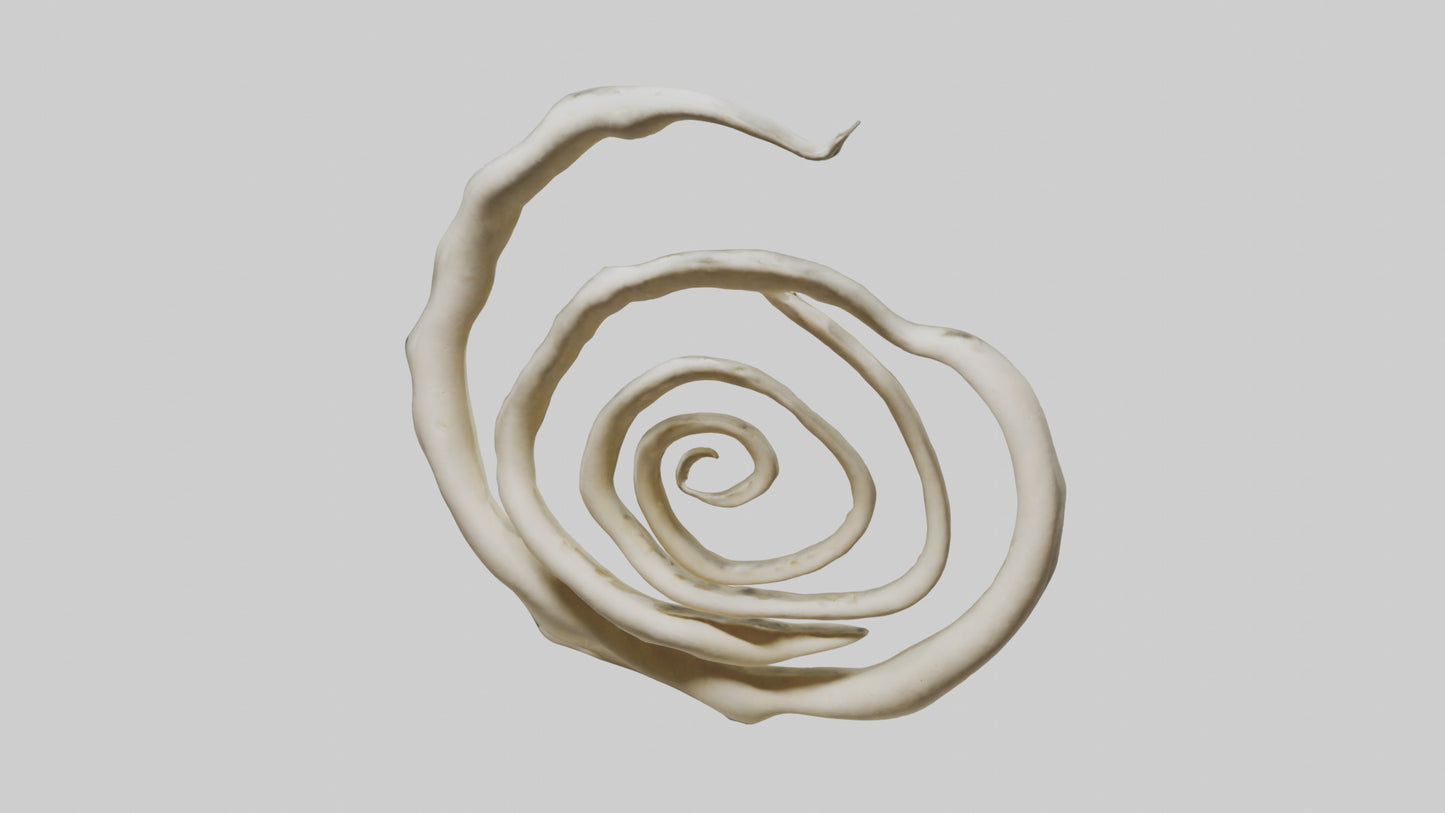 Organic Spiral Growth Sculpture model 3D model