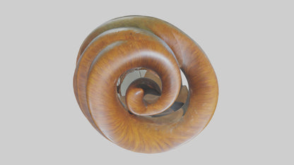 Organic Spiral Sculpture model 3D model