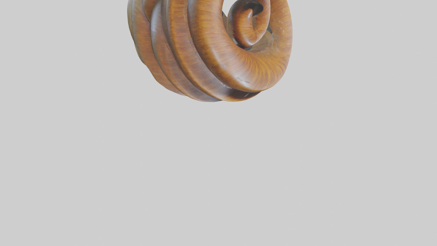 Organic Spiral Sculpture model 3D model