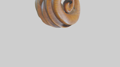 Organic Spiral Sculpture model 3D model