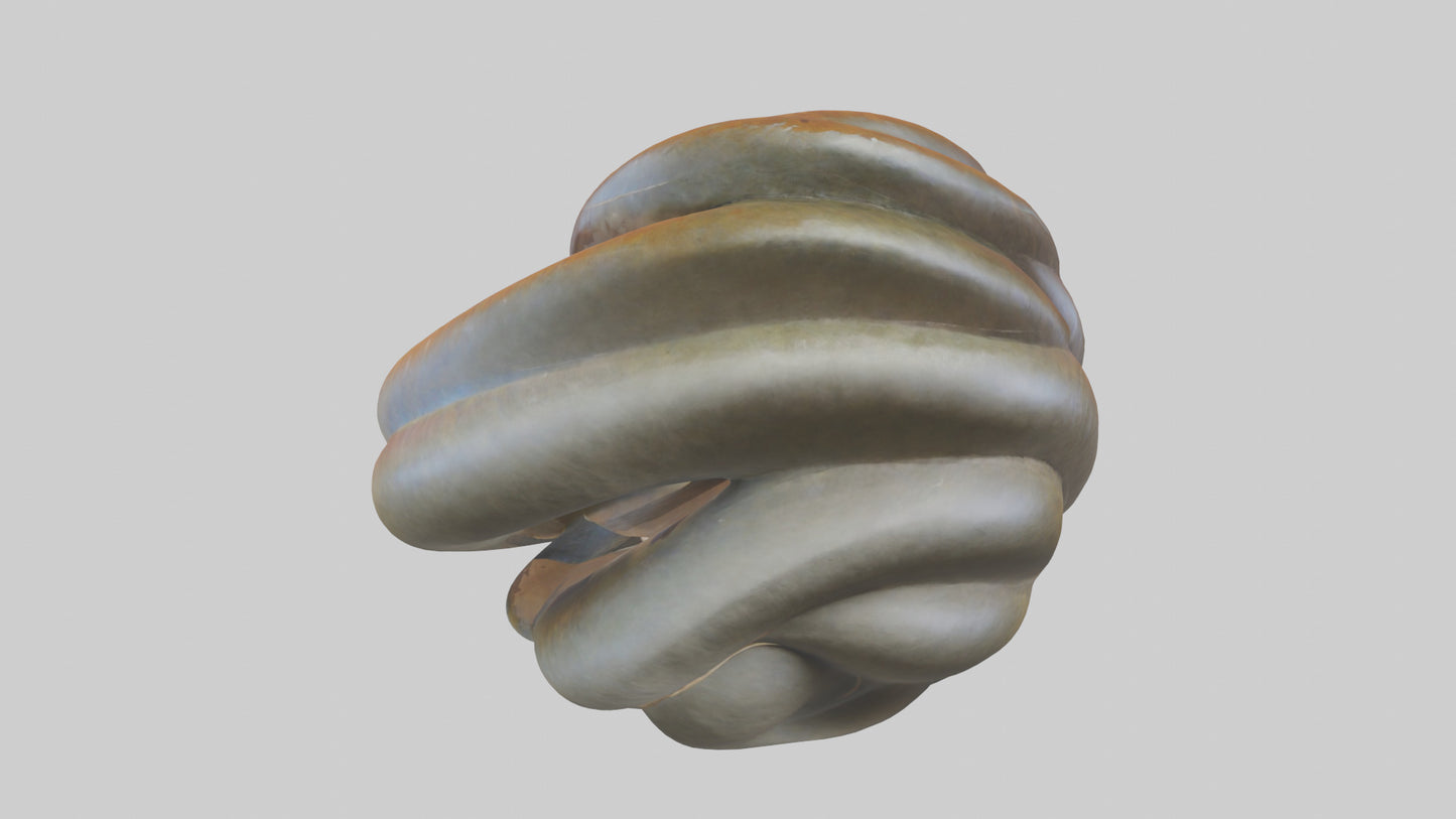 Organic Spiral Sculpture model 3D model