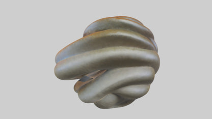 Organic Spiral Sculpture model 3D model