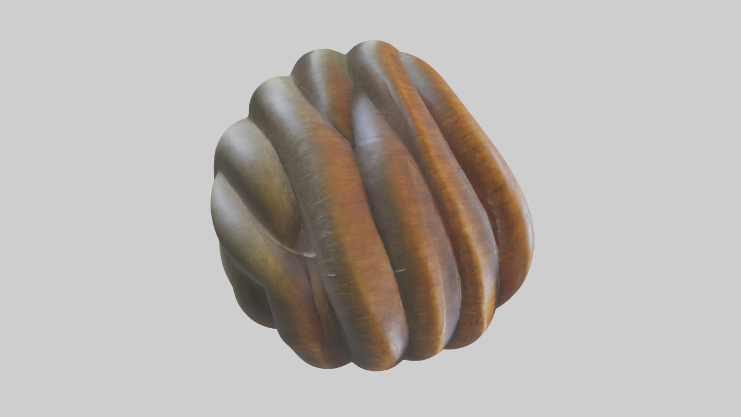 Organic Spiral Sculpture model 3D model