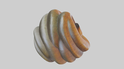 Organic Spiral Sculpture model 3D model