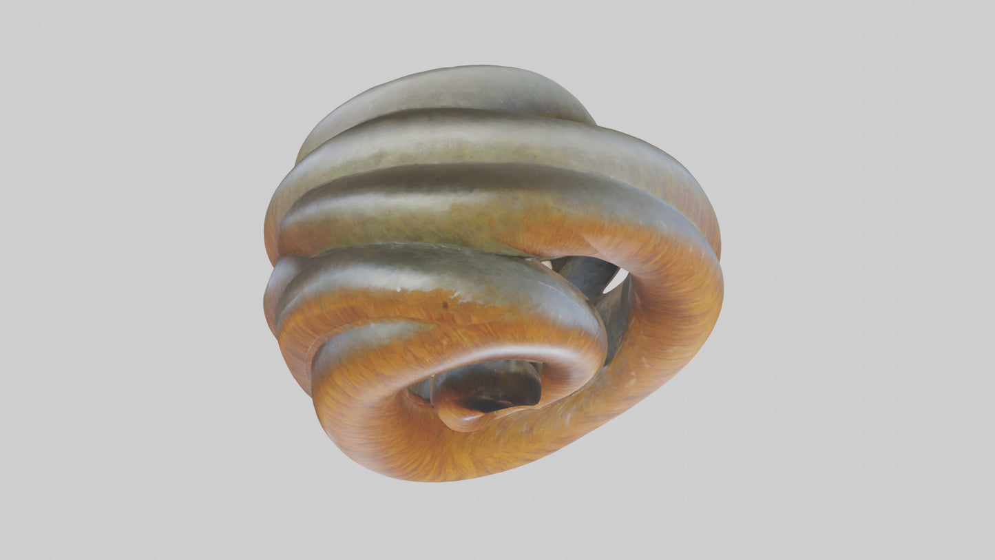 Organic Spiral Sculpture model 3D model