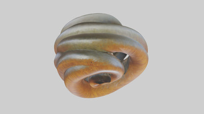 Organic Spiral Sculpture model 3D model
