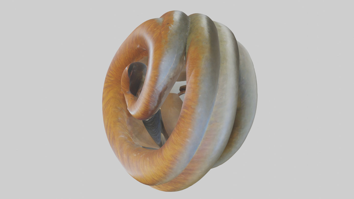 Organic Spiral Sculpture model 3D model