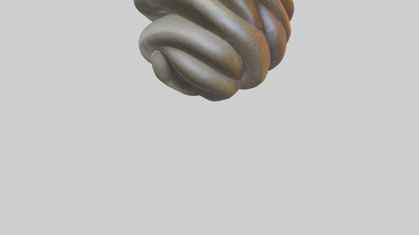 Organic Spiral Sculpture model 3D model