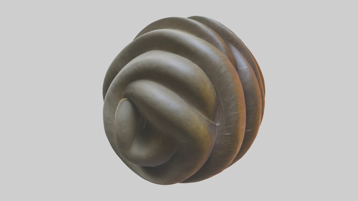 Organic Spiral Sculpture model 3D model