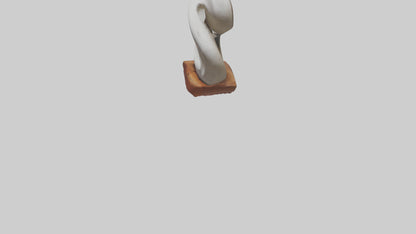 Organic Spiral Sculpture statue model 3D model