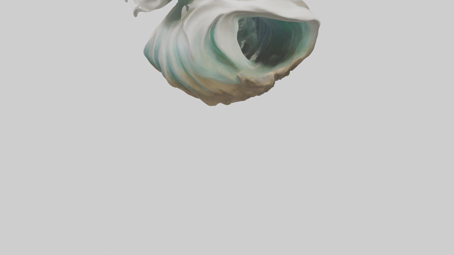 Organic Wave Sculpture model 3D model