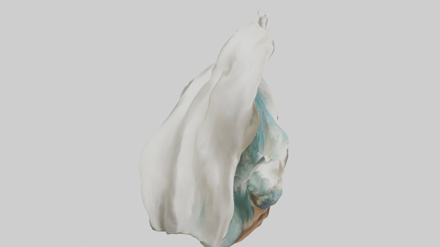 Organic Wave Sculpture model 3D model