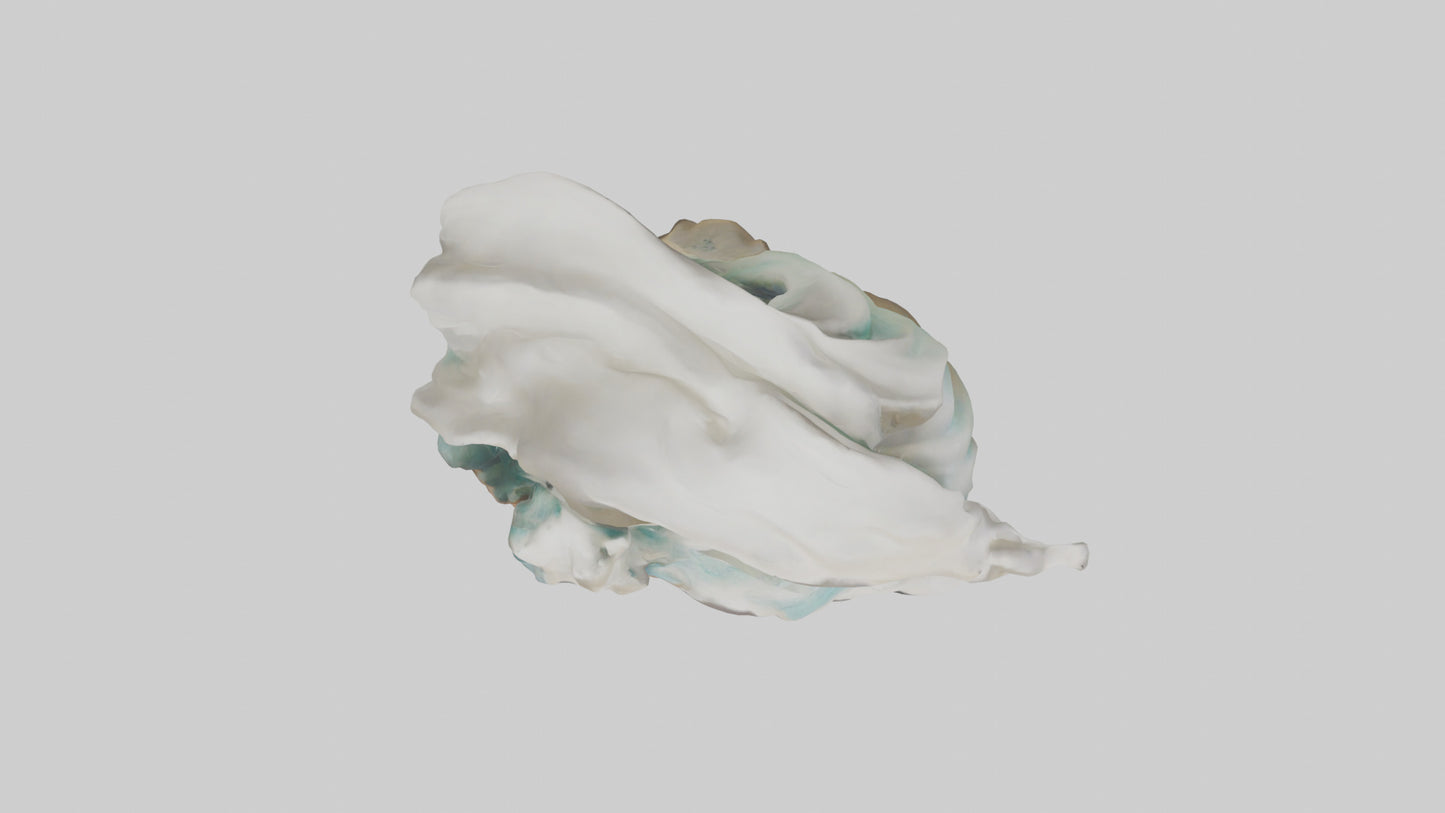 Organic Wave Sculpture model 3D model